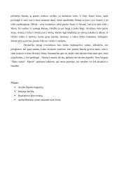 Tradicinės vertybės Alvydo Šlepiko romane „Mano vardas - Marytė“ 2 puslapis