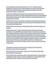 Pasaulio sukūrimas pagal Senąjį Testamentą 2 puslapis