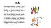 Ispanijos pristatymo skaidrės 13 puslapis