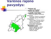 "Natura 2000" procesas Lietuvoje 5 puslapis