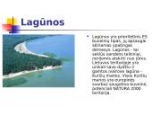 "Natura 2000" procesas Lietuvoje 9 puslapis