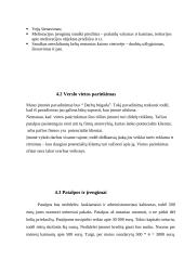 Verslo planas UAB „Darbų Brigada“ 9 puslapis