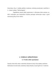 Verslo planas UAB „Darbų Brigada“ 2 puslapis