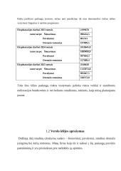 Verslo planas UAB „Darbų Brigada“ 3 puslapis