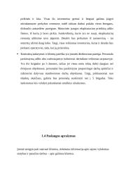 Verslo planas UAB „Darbų Brigada“ 5 puslapis