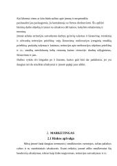 Verslo planas UAB „Darbų Brigada“ 6 puslapis