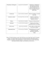 Savęs kaip asmenybės analizė verslo aplinkoje 13 puslapis