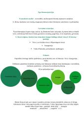 Savęs kaip asmenybės analizė verslo aplinkoje 14 puslapis