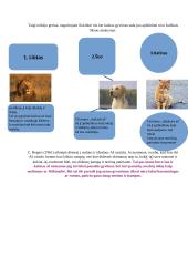 Savęs kaip asmenybės analizė verslo aplinkoje 7 puslapis