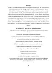 West Express (UAB Vestekspres). Verslo turizmo įmonės analizė 10 puslapis