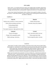 West Express (UAB Vestekspres). Verslo turizmo įmonės analizė 11 puslapis