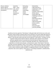 West Express (UAB Vestekspres). Verslo turizmo įmonės analizė 13 puslapis