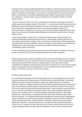 Utopinis miestas 2 puslapis