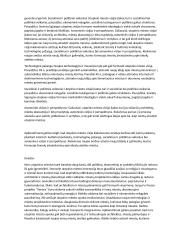 Utopinis miestas 4 puslapis