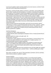 Sutartinės. Konspektas 2 puslapis