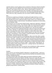 Sutartinės. Konspektas 3 puslapis