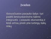 Besivystančių šalių ekonominio augimo problemos 2 puslapis