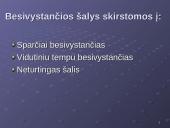 Besivystančių šalių ekonominio augimo problemos 4 puslapis