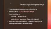 Amoniakas. Skaidrės 11 puslapis