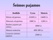 Šeimos būsto kreditas 2 puslapis