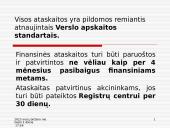 Finansinių ataskaitų apibūdinimas 19 puslapis