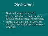 Lietuvos partizanai 1944-1953m. 13 puslapis