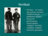 Lietuvos partizanai 1944-1953m. 14 puslapis