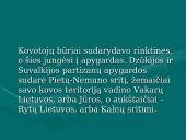 Lietuvos partizanai 1944-1953m. 16 puslapis