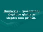 Lietuvos partizanai 1944-1953m. 17 puslapis