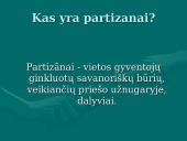 Lietuvos partizanai 1944-1953m. 3 puslapis