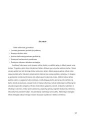 Rinkodaros strategijos parengimo projektas 11 puslapis