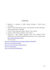 Rinkodaros strategijos parengimo projektas 12 puslapis