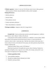 Rinkodaros strategijos parengimo projektas 3 puslapis