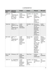 Rinkodaros strategijos parengimo projektas 5 puslapis