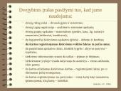 Dvejybinis įrašas ir pagrindinė apskaitos lygybė 2 puslapis