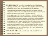 Dvejybinis įrašas ir pagrindinė apskaitos lygybė 13 puslapis