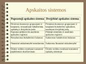 Dvejybinis įrašas ir pagrindinė apskaitos lygybė 4 puslapis