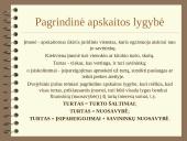 Dvejybinis įrašas ir pagrindinė apskaitos lygybė 5 puslapis