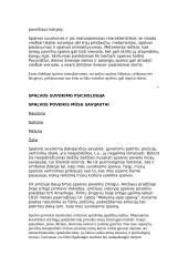 Spalvos ir jų poveikis 16 puslapis