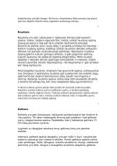 Spalvos ir jų poveikis 17 puslapis