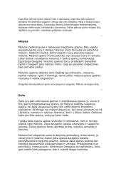 Spalvos ir jų poveikis 18 puslapis