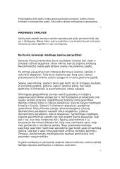 Spalvos ir jų poveikis 19 puslapis