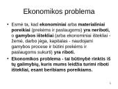 Ekonomikos problema 2 puslapis