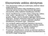 Ekonomikos problema 13 puslapis