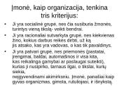 Ekonomikos problema 17 puslapis