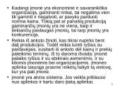 Ekonomikos problema 19 puslapis