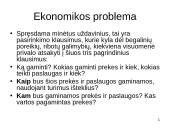 Ekonomikos problema 3 puslapis