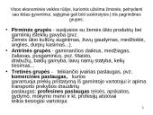Ekonomikos problema 9 puslapis