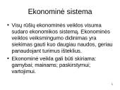 Ekonomikos problema 10 puslapis
