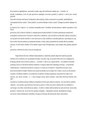 Jono Biliūno novelės ,,Vagis’’ analizė 2 puslapis